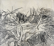 Picture of B. PRABHA (1933 - 2001)