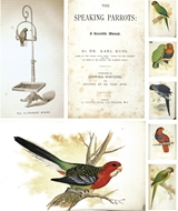 Picture of RUSS (KARL DR.) 1833 - 1899