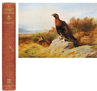 Picture of THORBURN (ARCHIBALD) 1860 - 1935