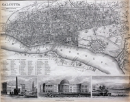 Picture of CALCUTTA