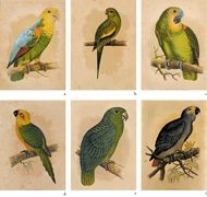 Picture of A.F. LYDON (1836 - 1917)