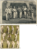 Picture of CRICKET: ILLUSTRATED LONDON NEWS.