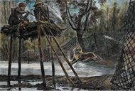 Picture of ILLUSTRATED LONDON NEWS TIGER HUNTING IN MYSORE, INDIA