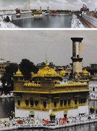 Picture of BOURNE & SHEPHERD