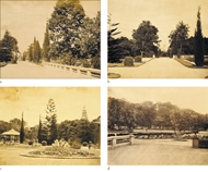 Picture of BOURNE SAMUEL C. 1890