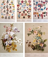 Picture of WHITNEY, WILLIAM DWIGHT (1827 - 1894)