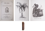 Picture of Rev. JOHN W. DULLES (1823 - 1884)