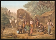 Picture of H. LAUTERMANN