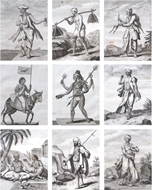 Picture of PIERRE SONNERAT (1748 - 1814)