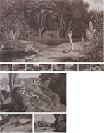 Picture of WILLIAM DANIELL (1769 - 1837)