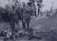 Picture of PHOTOGRAPHER UNKNOWN