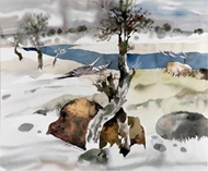 Picture of Bimal Das Gupta (1917 - 1995)