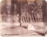 Picture of P. VUCCINO & CO., BOMBAY