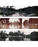 Picture of SAMUEL BOURNE (1834 - 1912)