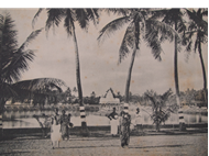 Picture of NICHOLAS & CO., MADRAS