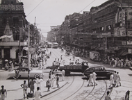 Picture of VARIOUS PHOTOGRAPHERS