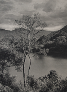 Picture of MARTIN HURLIMAN (1897 – 1984)