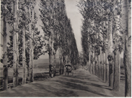 Picture of MARTIN HURLIMAN (1897 – 1984)