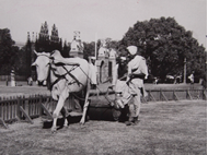 Picture of UNITED PRESS PHOTO, NEW YORK