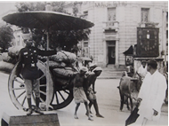 Picture of VARIOUS AGENCIES