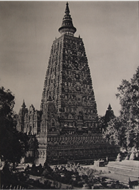 Picture of MARTIN HURLIMAN (1897 - 1984)