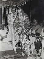 Picture of VARIOUS AGENCIES