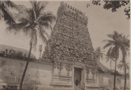 Picture of NICHOLAS & CO., MADRAS