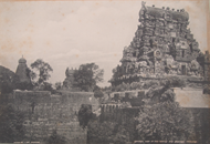 Picture of NICHOLAS & CO., MADRAS