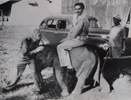 Picture of APA, NEW YORK