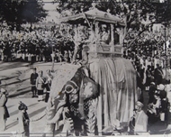 Picture of INTERNATIONAL PRESS PHOTO, USA