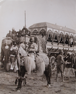 Picture of AAP, NEW YORK