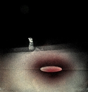 Bikash Bhattachajree