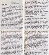 Picture of F N SOUZA (1924 - 2002)