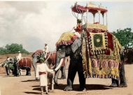 Picture of A.V. WILLIAMS JACKSON (1862 – 1935)