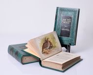 Picture of ALLAN HUME (1829 - 1912) & CHARLES H.T. MARSHALL (1841 - 1927)